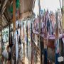 20170722_19-17-27_IMG_7500-Panorama